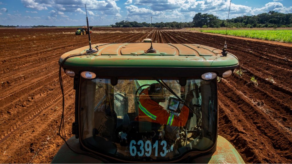 農(nóng)作物做成的燃料